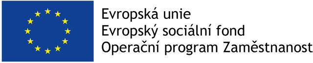 Evropský sociální fond